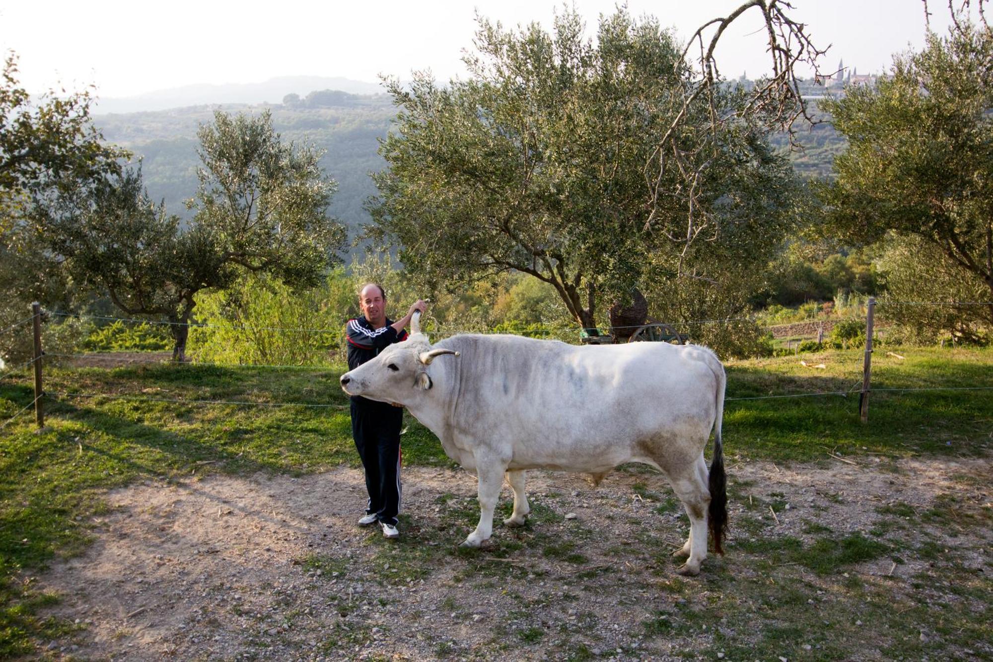Tourist Farm Robivera Šmarje Exterior foto